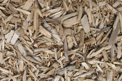 biomass boilers Treworlas
